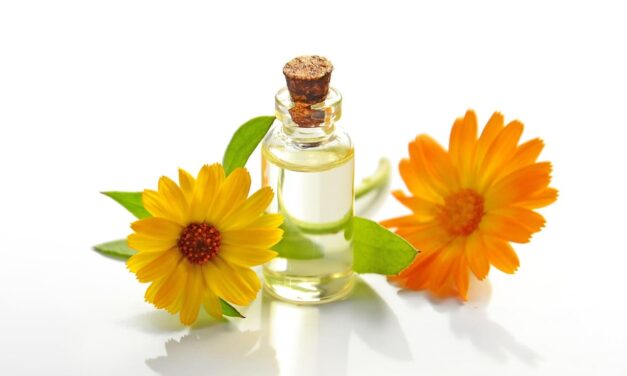 Curso de Cosmética Natural