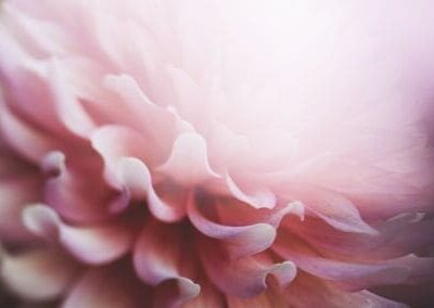 Composición para Fotografía