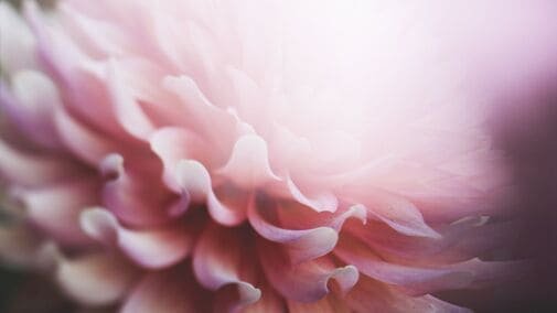 Composición para Fotografía
